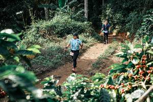 BIB: 
                            <button type="button" onclick="openModal(25857651)" class="btn btn-primary btn-sm float-right btn-popup" data-toggle="modal" data-target=".modal-high-quality">
                        <i class="fas fa-shopping-cart"></i> Add to Cart
                    </button>
                                            <button type="button" onclick="isThisMe(25857651, true)" class="btn btn-success btn-sm float-right btn-popup btn-isme hidden" data-toggle="tooltip" data-placement="bottom" title="นี่คือรูปของคุณใช่ไหม คลิกที่นี่เพื่อเอาเข้าอัลบั้ม">
                        <i class="fas fa-plus"></i> Add to album
                    </button>
                    <button type="button" onclick="isThisMe(25857651, false)" class="btn btn-warning btn-sm float-right btn-popup btn-isnotme hidden">
                        <i class="fas fa-ban"></i> Remove from album
                    </button>